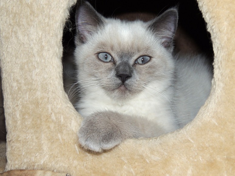 W13_020-Mili-2014-07-06_web