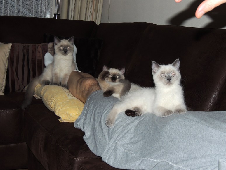 W13_027-Rico,-Niño-en-Mili-2014-07-06_web