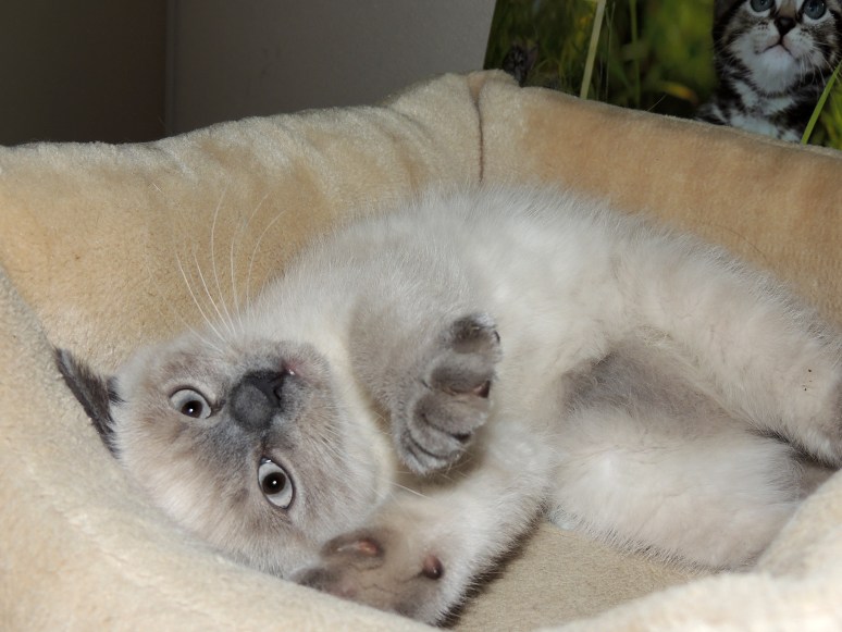 W13_058-Rico-2014-07-09_web