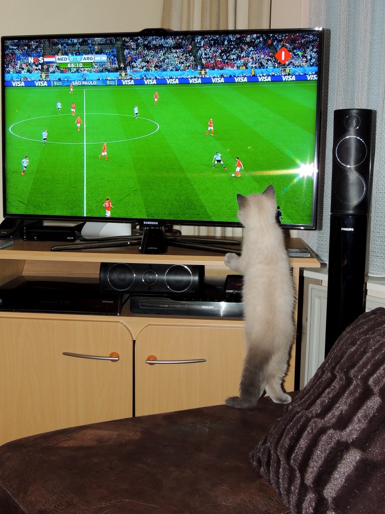 W13_070-Rico-2014-07-09_web