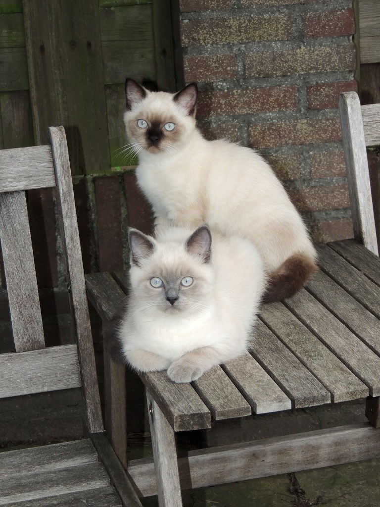 W13_095-Rico-en-Niño-2014-07-11_web