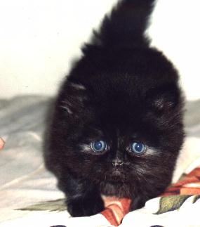 Jessie 2000-07-17, 01