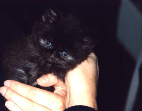 Jessie 2000-07-17, 03