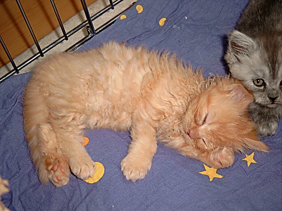 Banjer 2004-06-22, 01