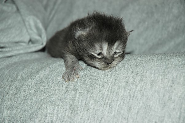 Boyke 2004-07-13, 01