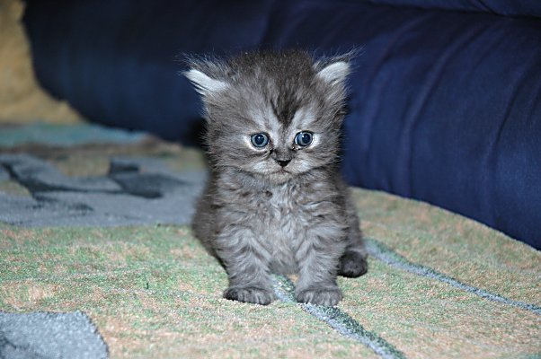 Boyke 2004-08-03, 02