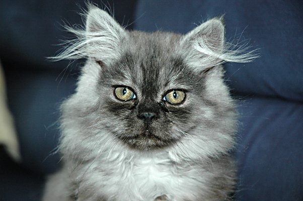 Boyke 2004-09-26, 02