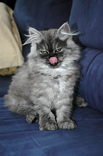 Boyke 2004-09-26, 04