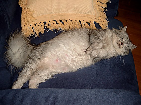 Britney 2004-06-27, 05