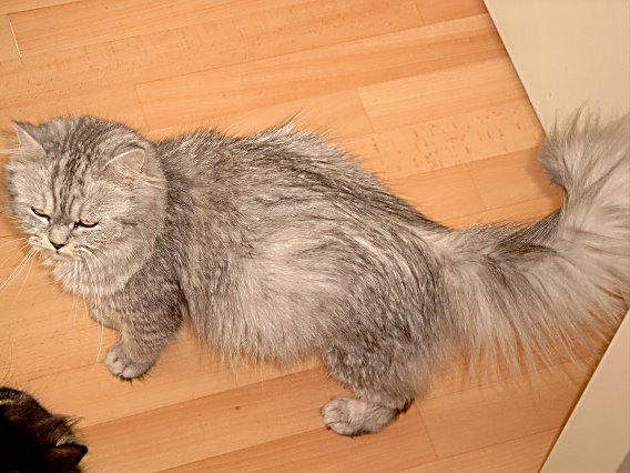 Britney 2004-06-27, 09