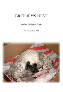 Britney's nest 2004