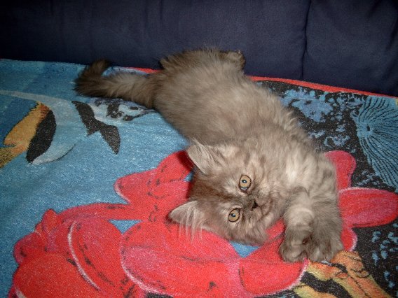 Daisy 2002-09-12, 01