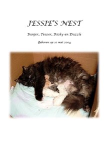 Jessie's nest 2004
