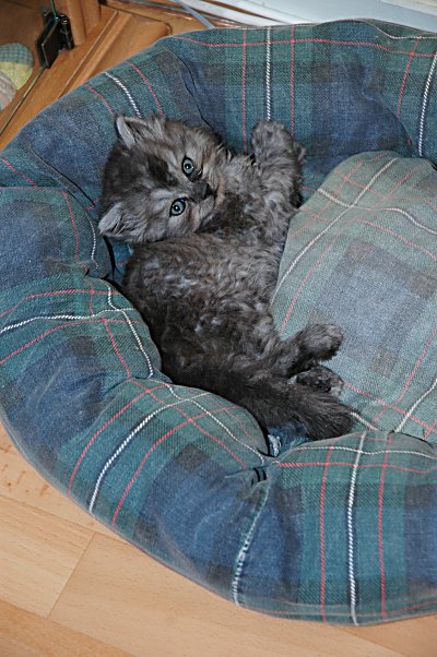 Mickey 2004-08-12, 02