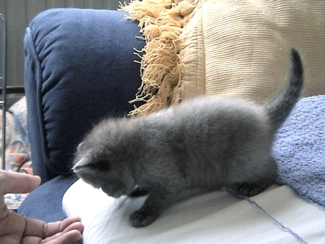 Phoebe 01-08-2002 03