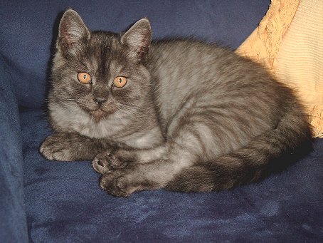 Phoebe 2002-09-30, 01