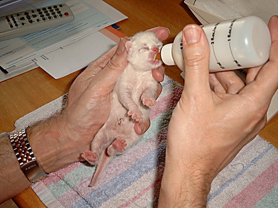 Ricky 2004-05-12, 01