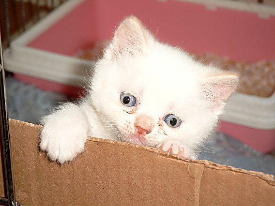 Ricky 2004-06-12, 01