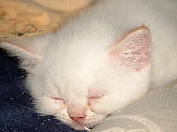 Ricky 2004-06-19, 01