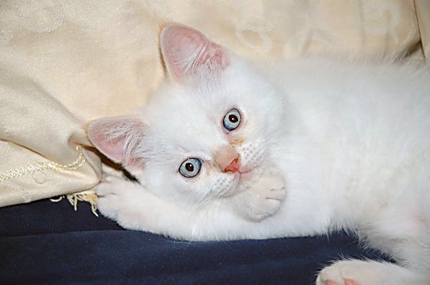 Ricky 2004-07-14, 06