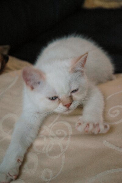 Ricky 2004-07-27, 01