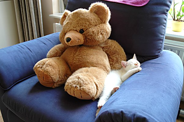 Ricky 2004-07-28, 02