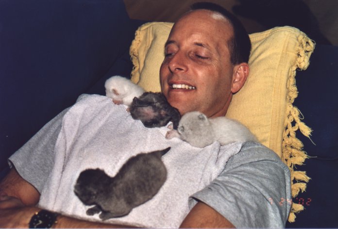 Rob met kleine kittens