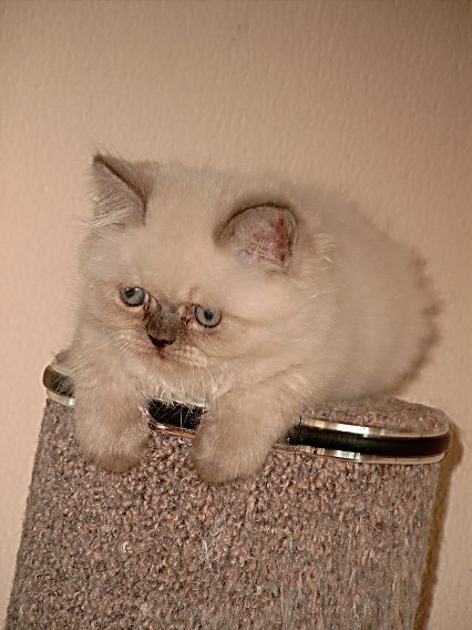 Teaser 2004-06-27, 04