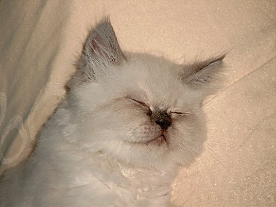 Teaser 2004-06-27, 08