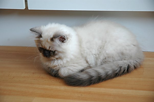 Teaser 2004-08-06, 03