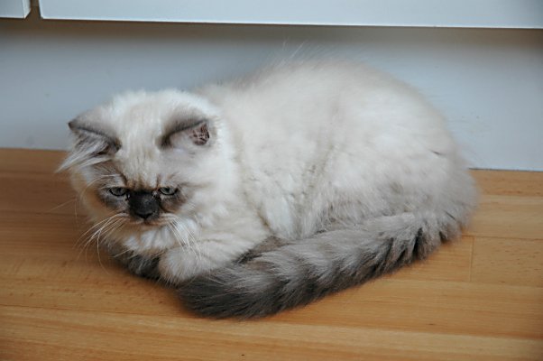 Teaser 2004-08-06, 04