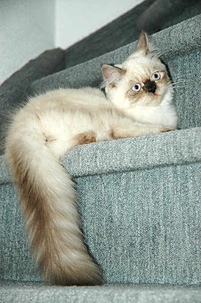 Teaser 2004-09-08, 02