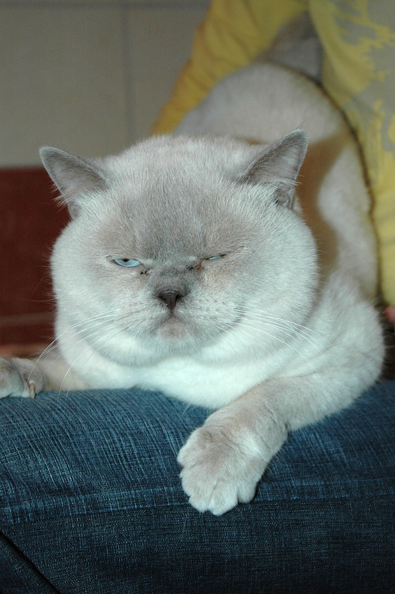 Baer-2009-10-01,-04_web