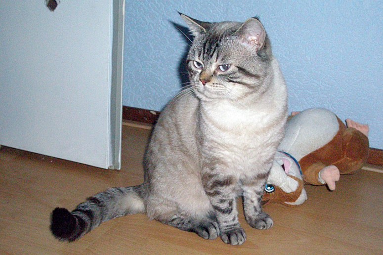 Beau 2007-05-19, 04_web