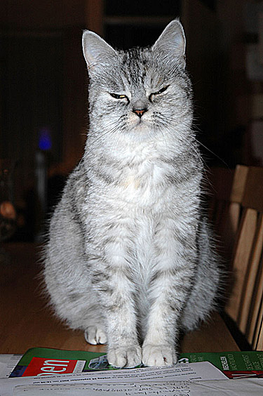 Blue Tess 2007-09-22, 03a