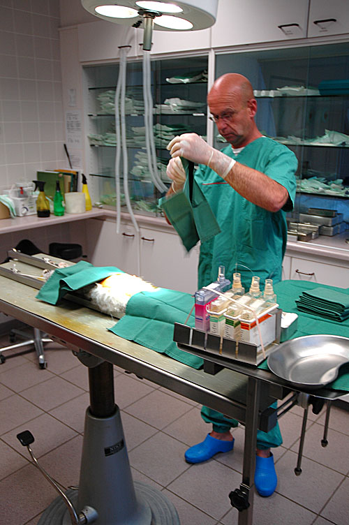 Blue Tess bevalling 2007-10-08, 11