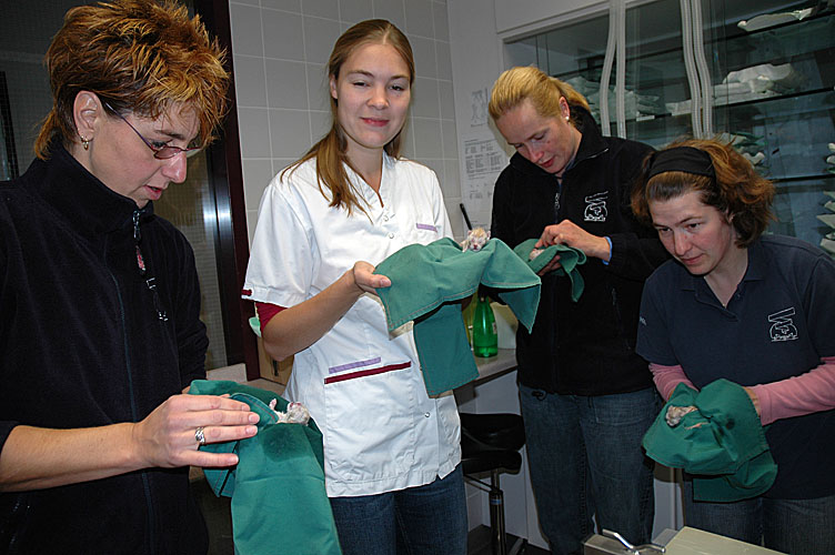 Blue Tess bevalling 2007-10-08, 25