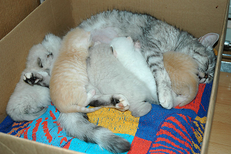 Blue Tess en kids 2007-10-24, 01