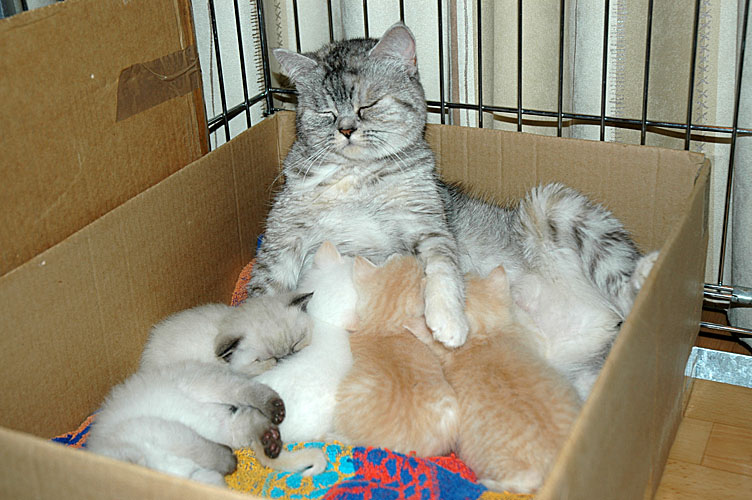 Blue Tess en kids 2007-11-02, 01