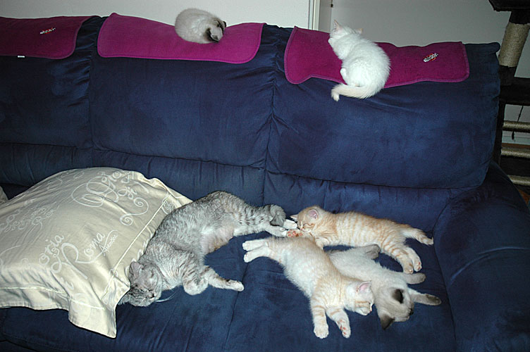 Blue Tess en kids 2007-12-01, 01