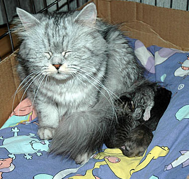 Britney en kids 2005-06-12, 01a