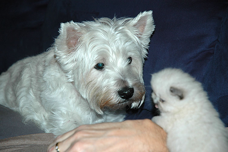 Demi en Laleh 2007-10-26, 03