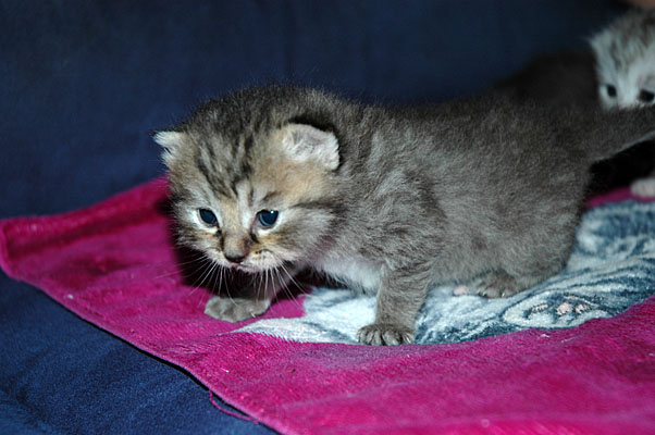 Dillon 2005-06-29, 08