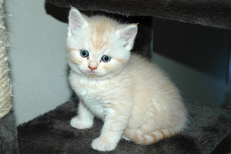 Frodo 2007-11-12, 01