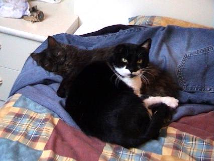 Jessie en Moortje 2000-12-05, 02