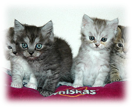 Kids 2005-07-24, 01a