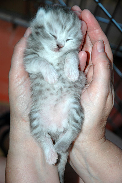 Mini Me 2005-06-20, 03