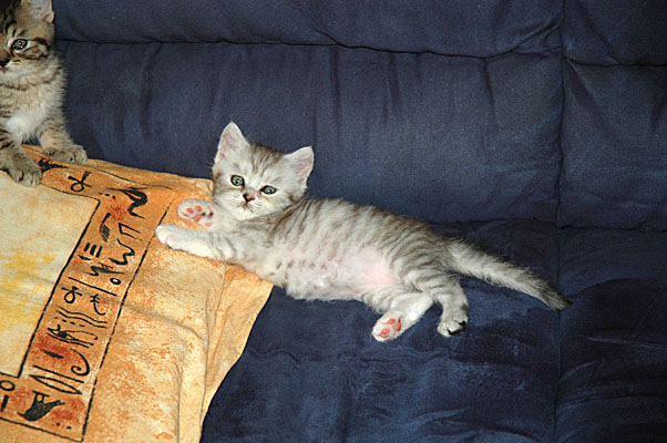 Mini Me 2005-07-29, 01