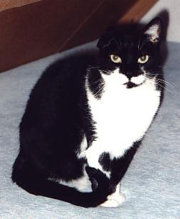 Moortje 2000-08-24, 01a