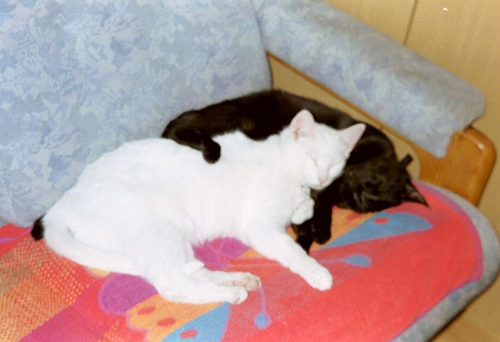 Snowy en Gabber, 2001-07-12, 03